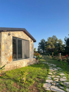 Olympos Ceratonia Dağ evi